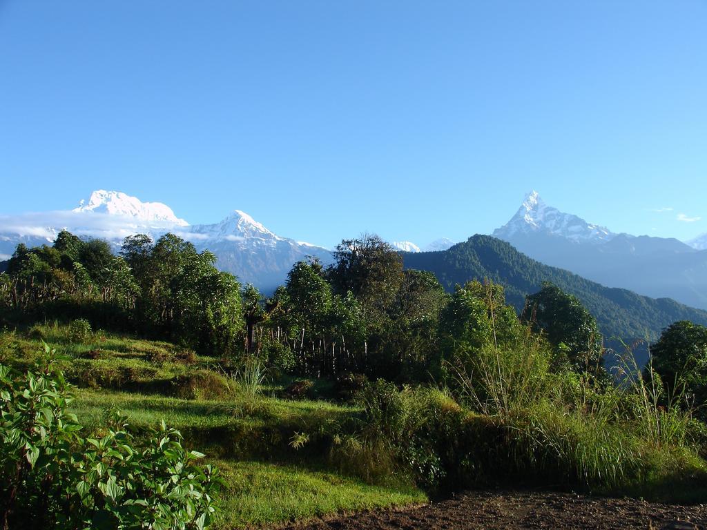 The North Face Inn Pokhara Extérieur photo